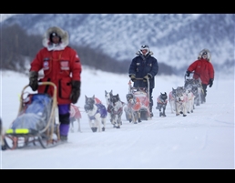 Dogsledding by Visit Norway